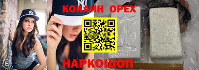 хмурый Гатчина