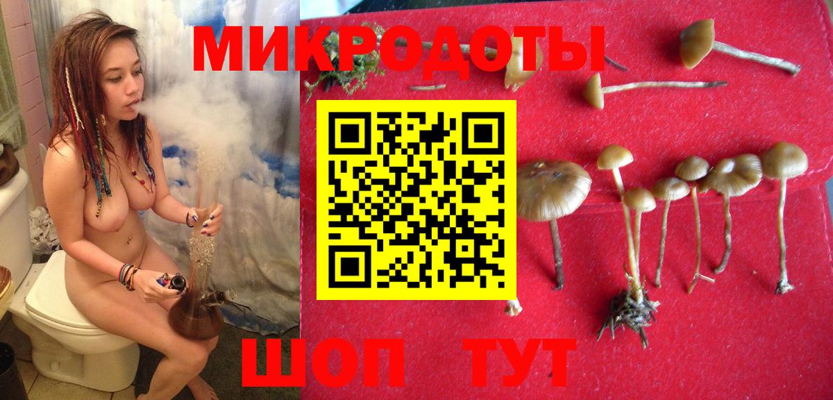 Галлюциногенные грибы прущие грибы Сальск