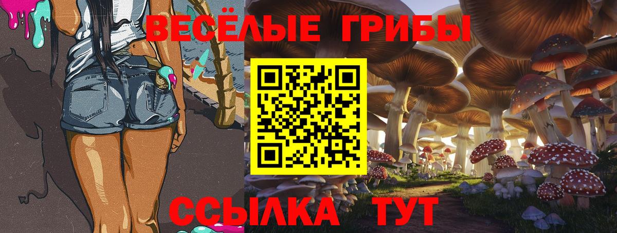 Галлюциногенные грибы прущие грибы  Вход с VPN  цена наркотик  Сальск  Псилоцибиновые грибы Psilocybe 